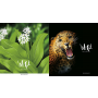 Zeszyt PaperHome Wild A5+/96/60g kratka - 3
