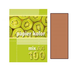 Papier ksero A4/100/80g Kreska brązowy jasny