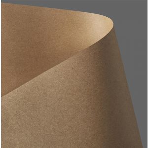 Karton ozdobny Argo A4/230/20szt Kraft Ciemnobeżowy