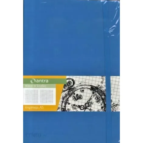 Notes Antra Romantyzm A5/80/80g kratka, Niebieski - 2