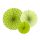 Rozety dekoracyjne, zielone jabłuszko, 3 sztuki