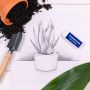 Gumka techniczna Staedtler Mars Plastic, 65x23x13 mm - 5