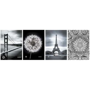 Brulion Herlitz Black&White A5/96 linia