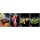 Brulion Herlitz Fresh Fruit A5/96 kratka