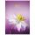 Zeszyt studencki PaperHome Kwiaty A4/80/60g kratka