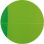 Kołozeszyt Oxford My Colours 90x140mm/90 kratka - 10