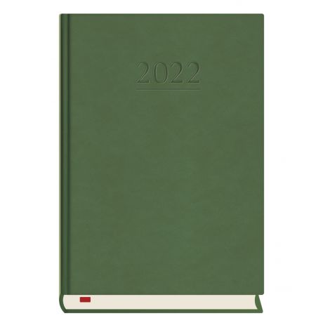 2024 Kalendarz MiP Powszechny B6, Zielony - 2