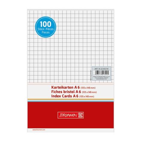 Karta indeksująca Brunnen A6/100 kratka, biała