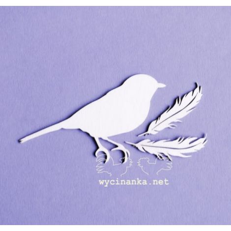 Tekturka Wycinanka At Dawn - Ptak i piórka