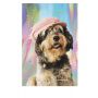 Notes Paso holograficzny A5/96/80g linia - 2