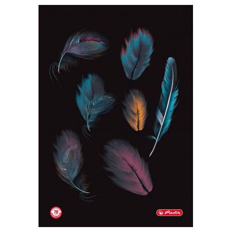 Brulion Herlitz Feathers A5/96 kratka - 2