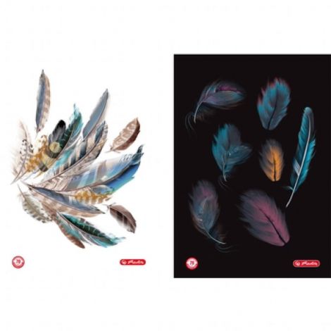Brulion Herlitz Feathers A5/96 kratka