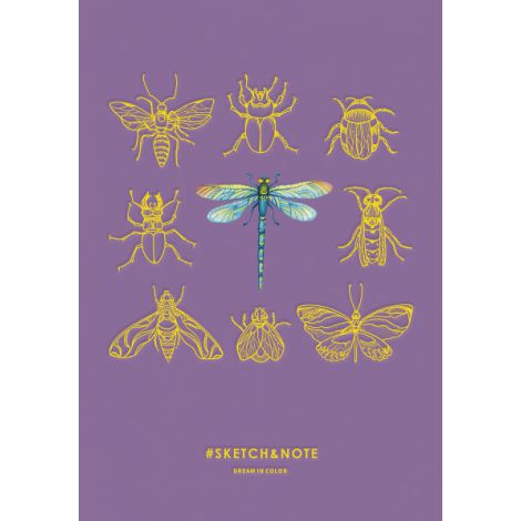 Notes Szkicownik PaperHome A5/64/120g - 3