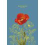 Notes Szkicownik PaperHome A5/64/120g - 2