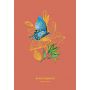 Notes Szkicownik PaperHome A5/64/120g - 5