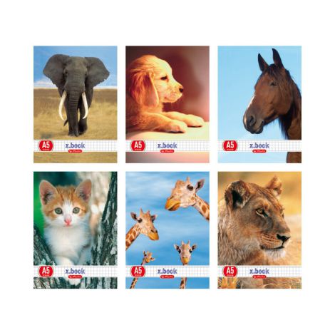 Zeszyt Herlitz Animals A5/32 kratka