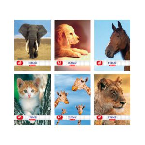 Zeszyt Herlitz Animals A5/32 kratka