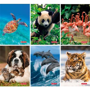 Zeszyt Herlitz Animals A5/16 trzylinia