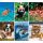 Zeszyt Herlitz Animals A5/16 trzylinia