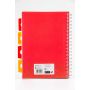 Kołozeszyt Pukka Pad Project Book Blush B5/100/80g kratka, koralowy - 4
