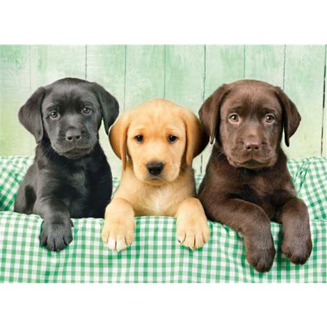 Puzzle Clementoni 1000el Three Labs - 2