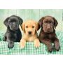 Puzzle Clementoni 1000el Three Labs - 3