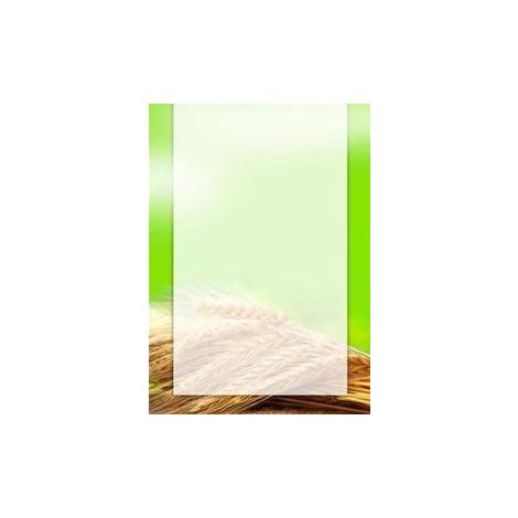 Dyplom Argo Eko 170g 25szt