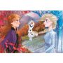 Puzzle Clementoni Maxi 60el Supercolor Frozen 2 - 3