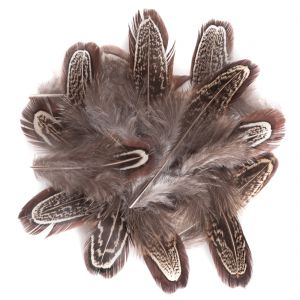 Pióra Bażanta dpCraft 5-12cm, 15szt