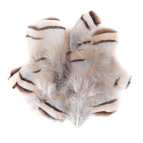 Pióra Bażanta dpCraft 5-7cm, 15szt