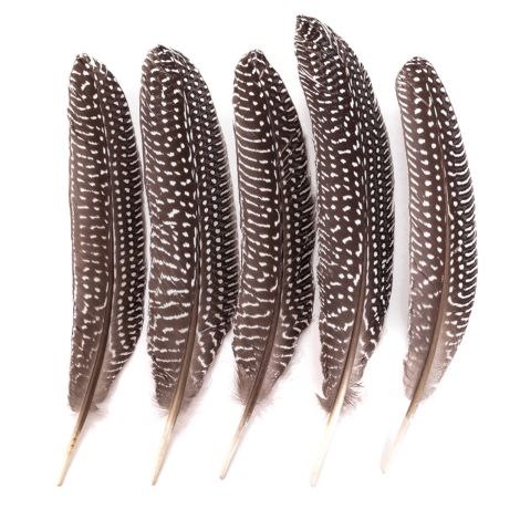 Pióra Bażanta dpCraft 18-20cm, 5szt
