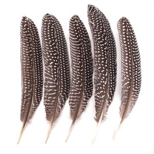 Pióra Bażanta dpCraft 18-20cm, 5szt