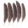 Pióra Bażanta dpCraft 18-20cm, 5szt