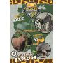 Puzzle Clementoni 180el Supercolor National Geographic Kids Wildlife Expedition - 3