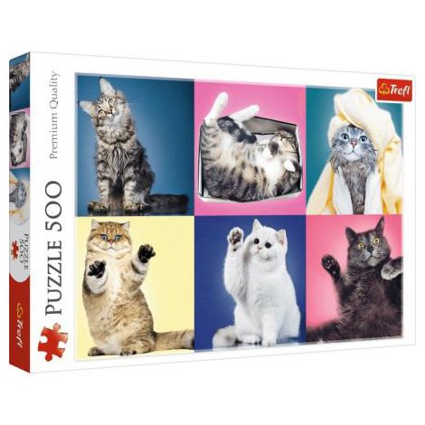 Puzzle Trefl 500el Kociaki