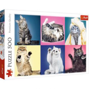 Puzzle Trefl 500el Kociaki