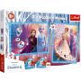 Puzzle Trefl 2w1: 30, 48el + Memos Frozen 2 - 2