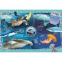 Puzzle Clementoni 104el Supercolor National Geographic Kids Ocean Explorer - 3