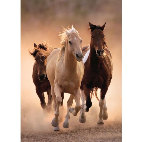 Puzzle Clementoni 1000el Running Horses - 2
