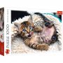 Puzzle Trefl 1000el Wesoły Kotek - 2