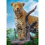 Puzzle Trefl 500el Dziki Lampart - 3