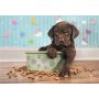 Puzzle Clementoni 180el Supercolor Lovely Puppy - 3