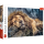 Puzzle Trefl 1000el Śpiący Lew