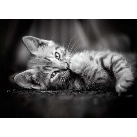 Puzzle Clementoni 1000el Kitty - 2