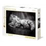 Puzzle Clementoni 1000el Kitty - 4