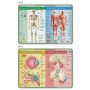 Podkładka edukacyjna Visual System Biologia, Anatomia człowieka - 2