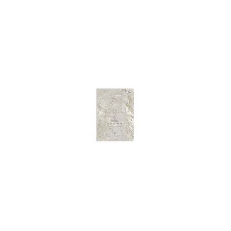 Zeszyt Interdruk Metallic Stone A5/60/70g kratka - 5