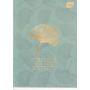 Zeszyt Interdruk Trends Girls A5/60/70g linia - 6