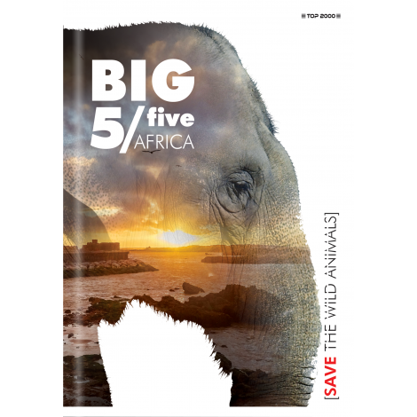 Zeszyt Top 2000 Big 5 A5/32 kratka, z marginesem - 3