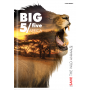 Zeszyt Top 2000 Big 5 A5/32 kratka, z marginesem - 3